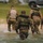 Out of the Helo-Into the Water Out of the Helo-Into the Water