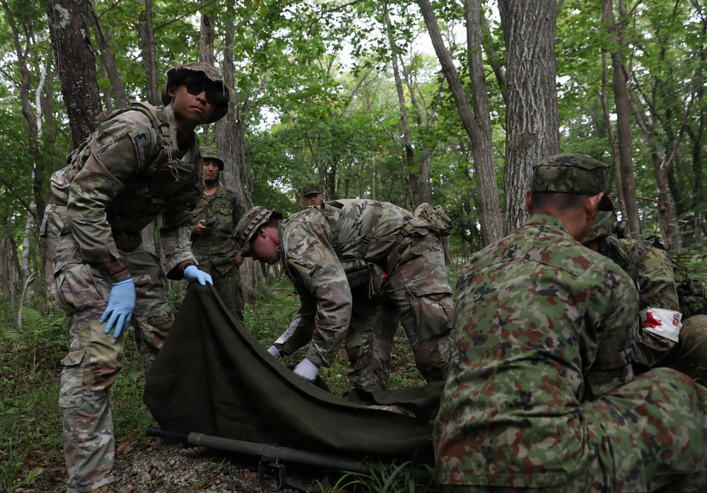 Military personnel from what appear to be two different armed forces are conducting a joint medical training exercise in a wooded area. Soldiers are working together to deploy or handle a litter/stretcher, suggesting a casualty evacuation drill. The presence of medical armbands and latex gloves indicates this is a combat medical training scenario.