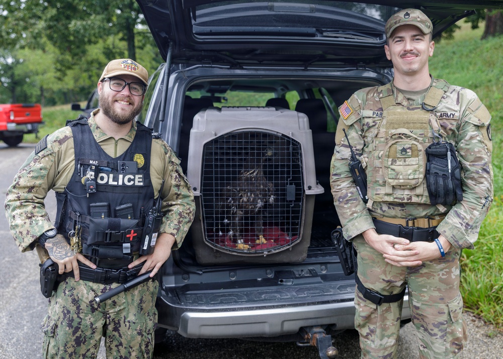 Service Members Secure ‘Freedom’ in the Skies Over Crane with Valiant Eagle Rescue