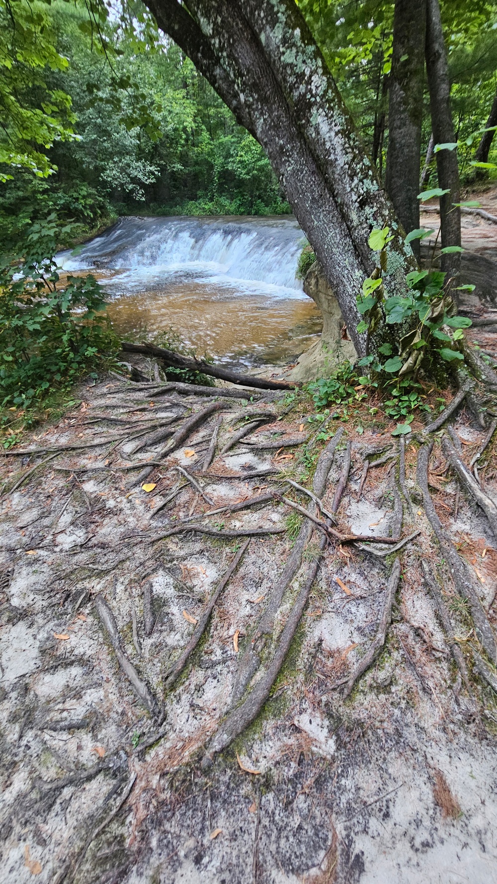 Trout Falls: A century-old scenic destination at Fort McCoy