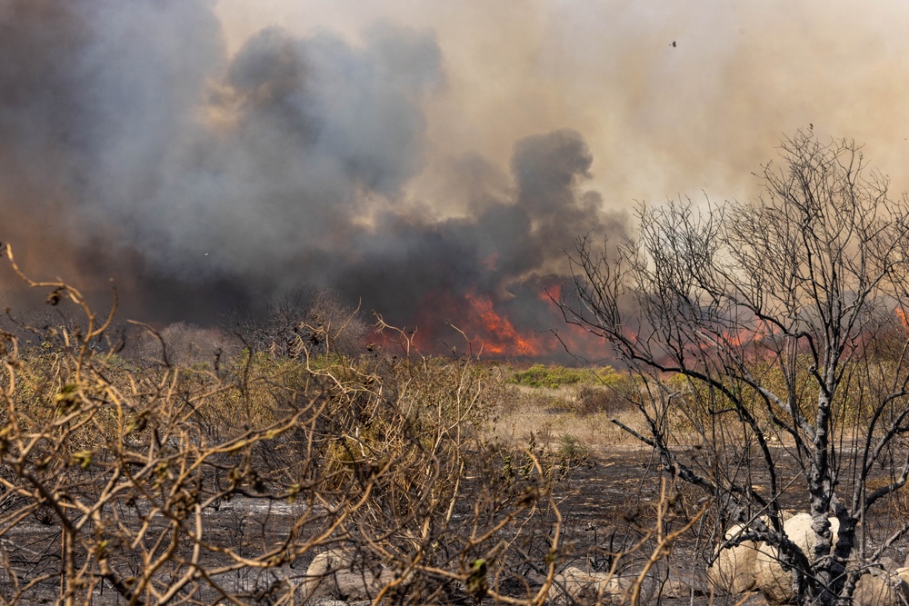 DVIDS - Images - Camp Pendleton Fire Department Combats the Ongoing ...