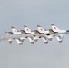 The image shows a formation of USAF Thunderbirds aerobatic demonstration team flying in tight close formation. The aircraft are F-16 Fighting Falcons painted in the distinctive white, red, and blue Thunderbirds livery. At least four jets are visible flying in a diamond or echelon formation, with white smoke trails visible from the aircraft.