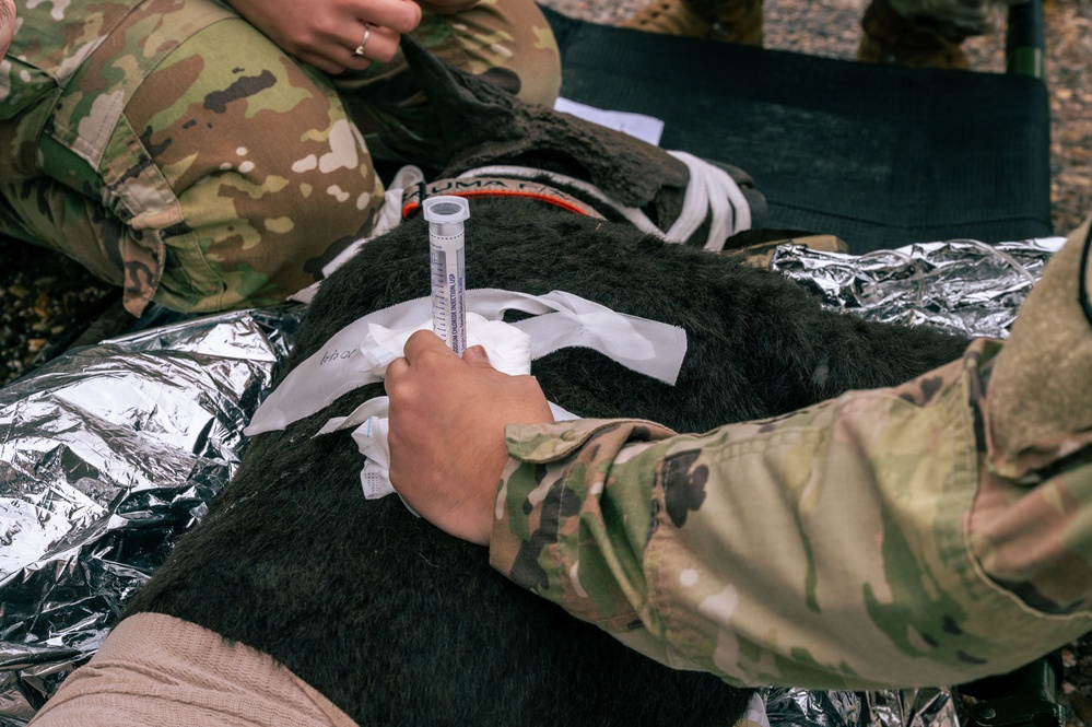 DVIDS - Images - U.S. Army Soldiers conduct CASEVAC training [Image 7 of 7]