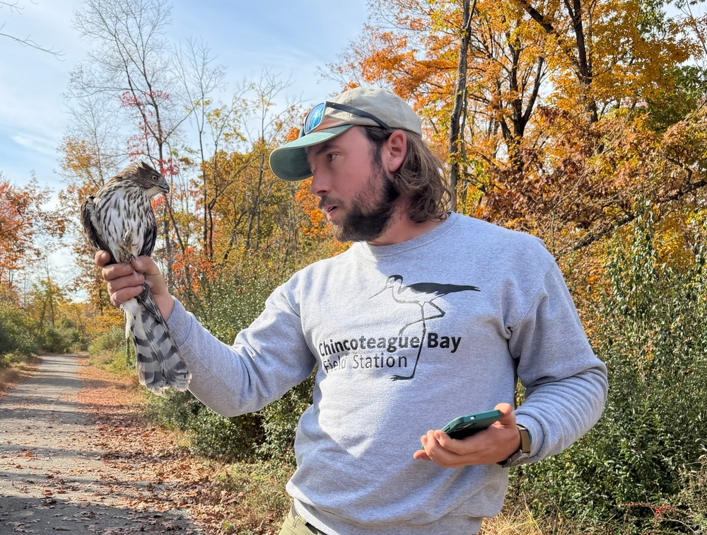 Juvenile Cooper’s Hawk safely released after warehouse rescue at Picatinny Arsenal
