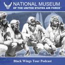 black-wings-tour-integration-of-the-air-force