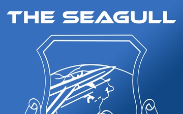 The Seagull