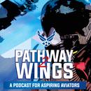 pathway-to-wings-podcast-ep-10-lt-darian-haynes-rpa-pilot
