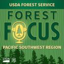 forest-focus-podcast-episode-34-bark-beetles-the-science-of-scents