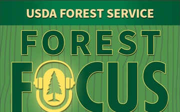 Forest Focus