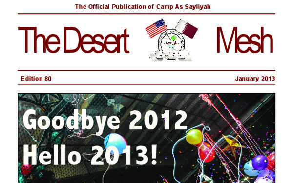 Desert Mesh - January 1, 2013
