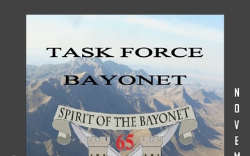 Task Force Bayonet - 12.02.2013