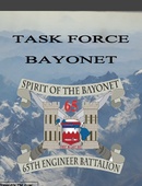 Task Force Bayonet - 01.01.2014