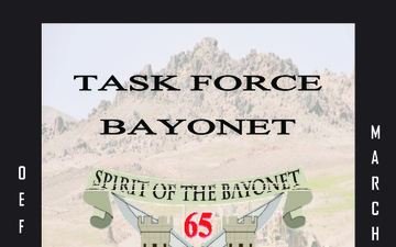 Task Force Bayonet - 04.01.2014