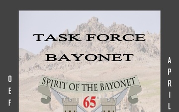 Task Force Bayonet - 05.01.2014