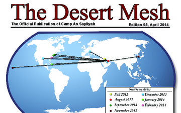 Desert Mesh - 04.07.2014
