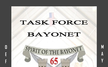 Task Force Bayonet - 06.01.2014