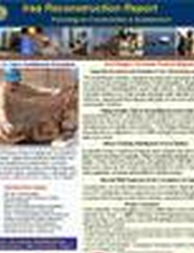 Iraq Reconstruction Report