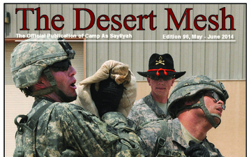 Desert Mesh - 06.25.2014