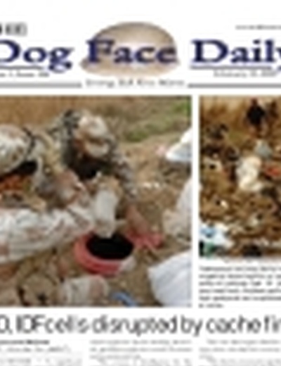 Dog Face Daily, The
