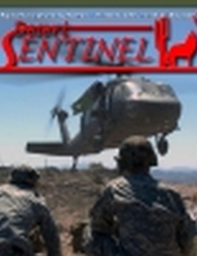 Desert Sentinel