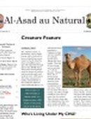 Al Asad au Natural, Issue 1 - 02.15.2009
