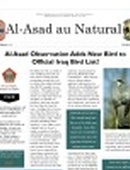 Al Asad au Natural, Issue 1 - 03.25.2009