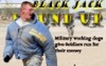 BlackJack Provider - 08.01.2009