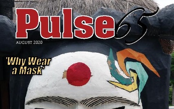 PULSE65 - 08.07.2020