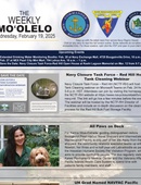 Moʻolelo - 02.19.2025