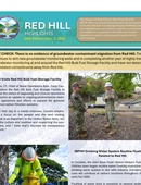 Red Hill Highlights - 12.02.2025