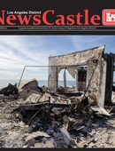 NewsCastle - 01.30.2026