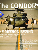 The Condor - 04.01.2011