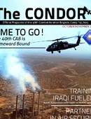 The Condor - 11.02.2011